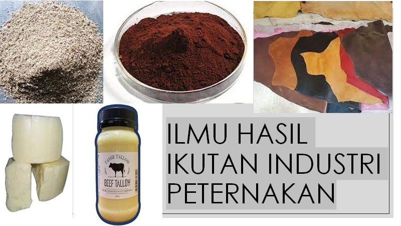 IHIIP Cover