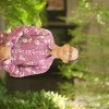 Claudius Budi Santoso