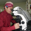Eko Setyobudi