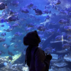 Sarah Febrina Yolanda