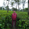 Roihan Mohamad Iqbal